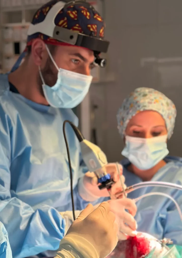 Cirujanos veterinarios realizando cirugía ortopédica con implantes de traumatología veterinaria